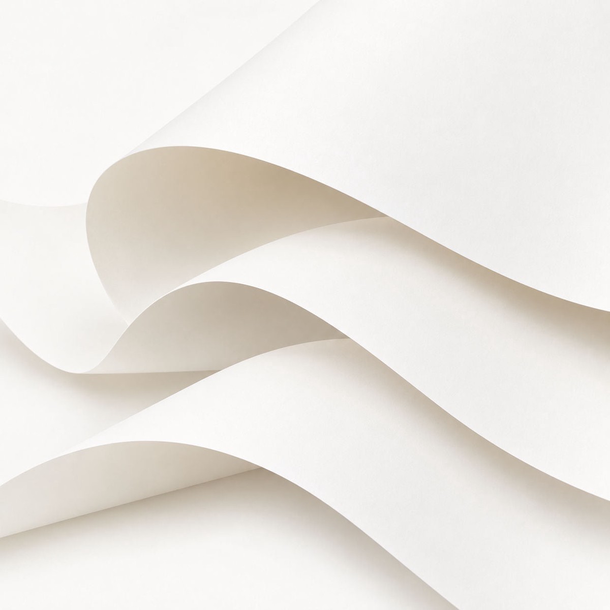 Digital Self Adhesive – Polypropylene